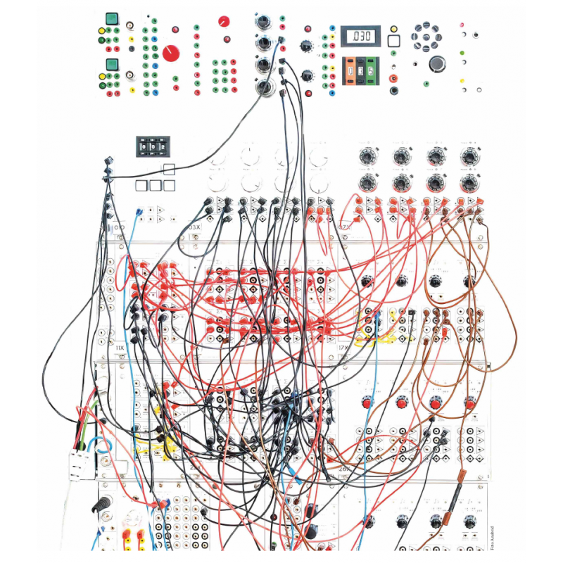 Poster of an Analog Paradigm Computer